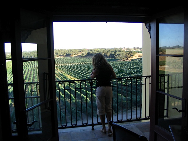 Andrea in the Vineyard