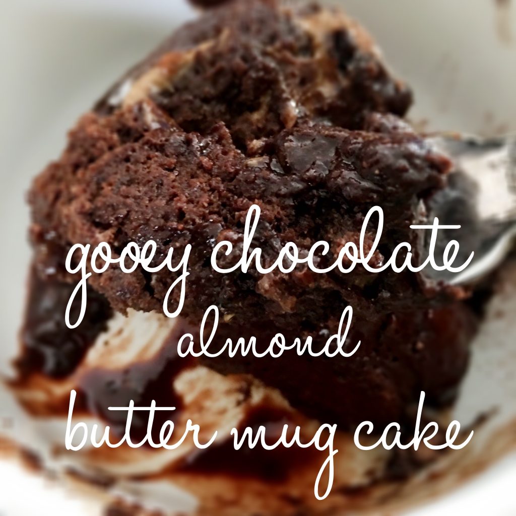 Gooey Chocolate Almond Butter Mug Cake